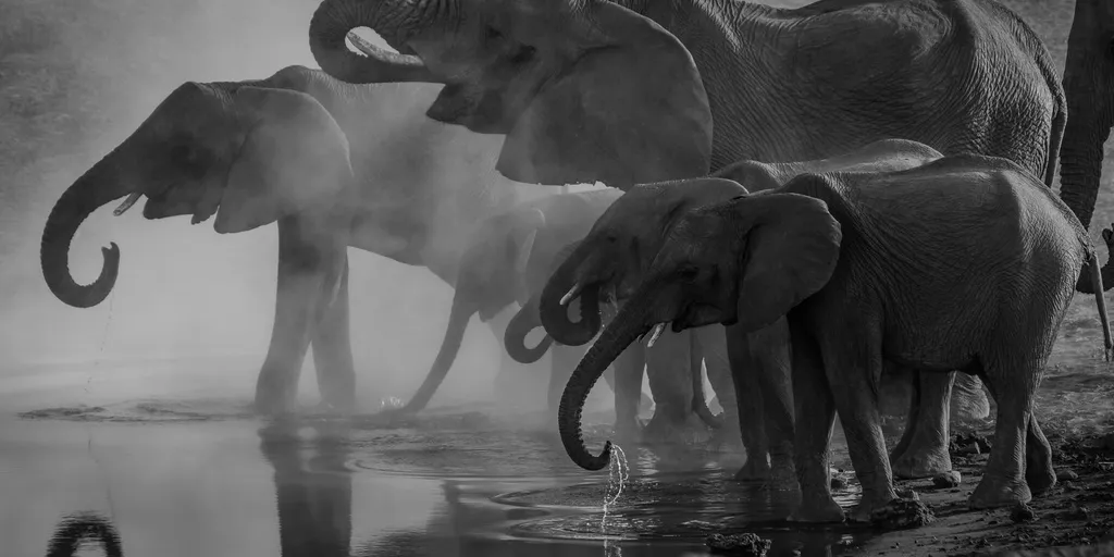 A new horizon for adaptive logical reasoning tests